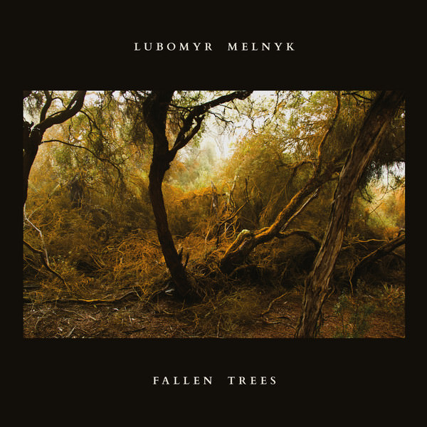 lubomyr melnyk kmh