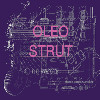 Oleo Strut