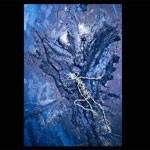 Different Shades Of Blue