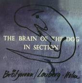 The Brain Of The Dog In Section