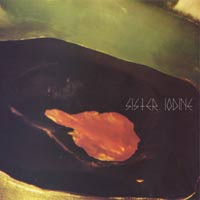 Flame desastre