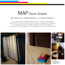 Fever Dream