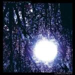Luminous Night