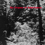 Six Organs Of Admittance