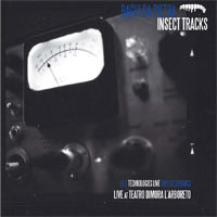 Insect Tracks