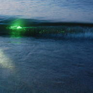 Emeralds