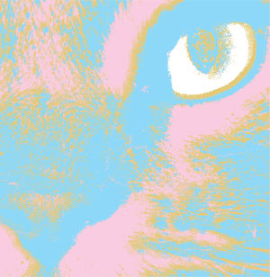 Weird Forest Records Soundohm