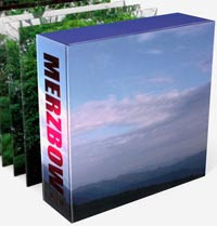 Merzbient