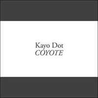 Coyote