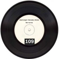 Beet5 / Nervures