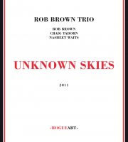 Unknown skies