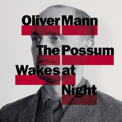 The Possum Wakes at Night