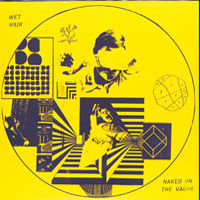 Wet Hair / Naked On The Vague – Split LP – Soundohm