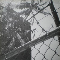 Project For A Revolution In New York