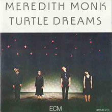 Turtle Dreams