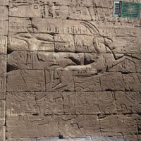 Egypt Strut