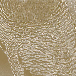 The Peregrine (Lp)