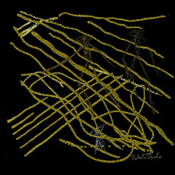 Alienacustica (3CD Box)