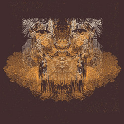 Decimus 11