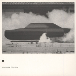 Fuzz_Galopp (LP)