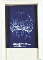 Silvertone e il sentimento oceanico