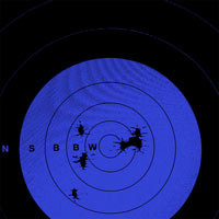Breaking Wind (LP)