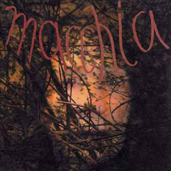 Macchia Forest