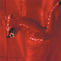 A Red Score In Tile