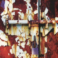 Prickle / Crevice (LP)