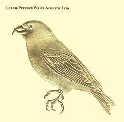 Acoustic Trio