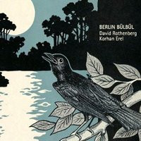 Berlin Bulbul