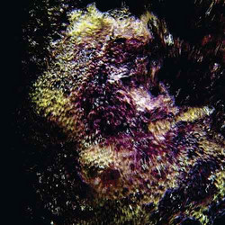 Lapidary