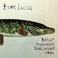 Esox Lucius