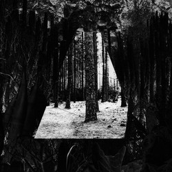 The Scale of Things (LP)