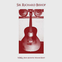Solo Acoustic Volume Eight