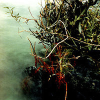 Ceremonies Of Memory I & II