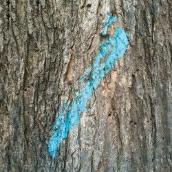 Lost & Compiled