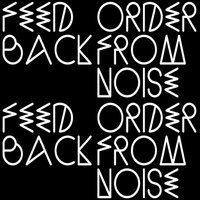 Feedback: Order From Noise