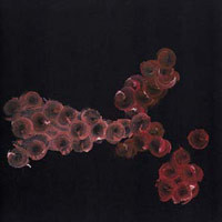 One End to the Other (LP)