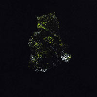 Precipice (LP)