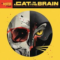 A Cat In The Brain