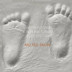 Melted Snow (LP)