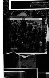 Punti Sulla Curva II