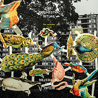 Ritual (2LP)