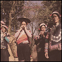 Voices (LP)