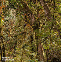 Terrain