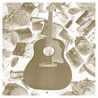 Solo Acoustic Volume Eleven