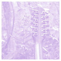 Solo Acoustic Volume Twelve