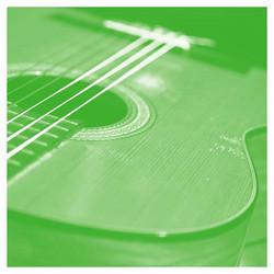 Solo Acoustic Volume Thirteen (LP)