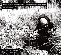 Jungle: Live At Okuden